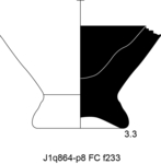 W21d0484 J1q0864-p08 S921 kF cv f233 b13.jpg